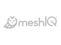 meshIQ